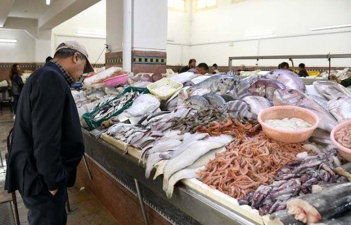 بعد وصول خليها تعفن لـ19 محافظة، رئيس شعبة الأسماك: الأسعار انخفضت 45%